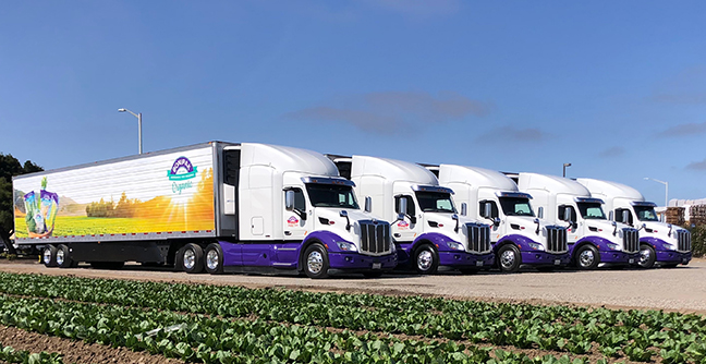 The Bonipak Label Means Fresh Produce; Leased Trucks from PacLease Help Make it Possible